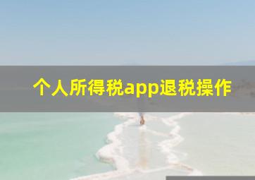 个人所得税app退税操作