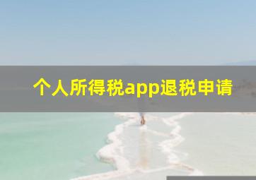 个人所得税app退税申请