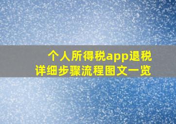 个人所得税app退税详细步骤流程图文一览