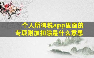 个人所得税app里面的专项附加扣除是什么意思