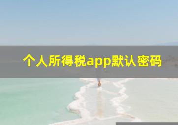 个人所得税app默认密码