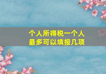 个人所得税一个人最多可以填报几项