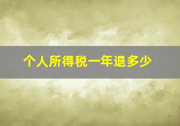 个人所得税一年退多少