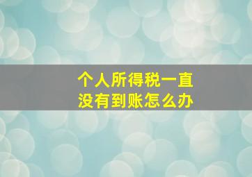 个人所得税一直没有到账怎么办