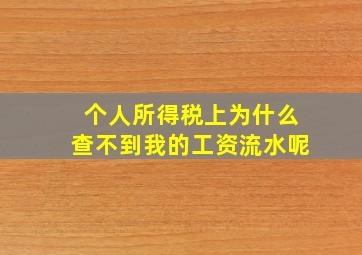 个人所得税上为什么查不到我的工资流水呢