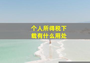 个人所得税下载有什么用处