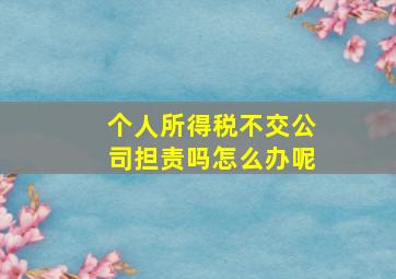 个人所得税不交公司担责吗怎么办呢