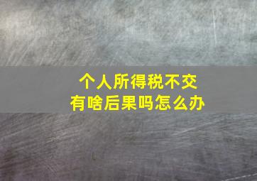 个人所得税不交有啥后果吗怎么办