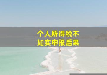 个人所得税不如实申报后果