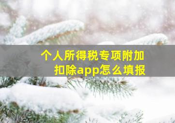 个人所得税专项附加扣除app怎么填报