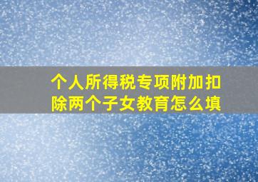 个人所得税专项附加扣除两个子女教育怎么填