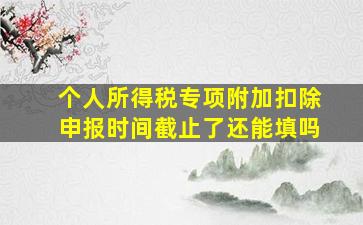 个人所得税专项附加扣除申报时间截止了还能填吗