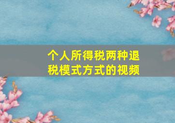 个人所得税两种退税模式方式的视频