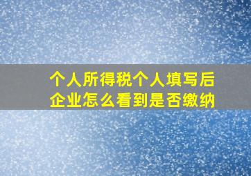 个人所得税个人填写后企业怎么看到是否缴纳