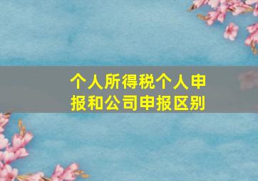 个人所得税个人申报和公司申报区别