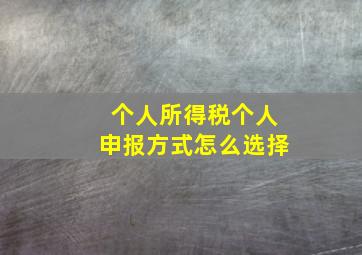 个人所得税个人申报方式怎么选择