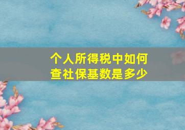 个人所得税中如何查社保基数是多少