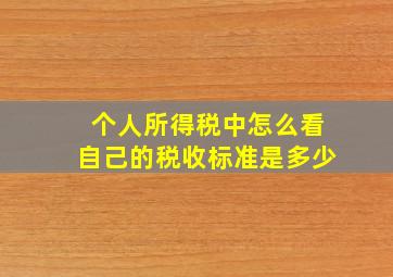 个人所得税中怎么看自己的税收标准是多少