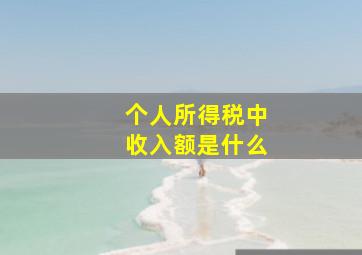 个人所得税中收入额是什么