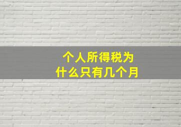 个人所得税为什么只有几个月