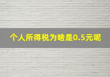 个人所得税为啥是0.5元呢