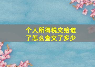 个人所得税交给谁了怎么查交了多少