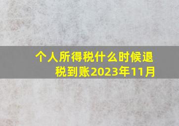 个人所得税什么时候退税到账2023年11月