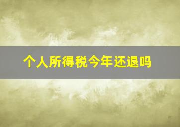 个人所得税今年还退吗