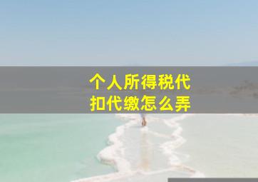 个人所得税代扣代缴怎么弄