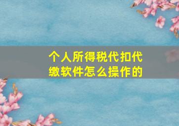 个人所得税代扣代缴软件怎么操作的