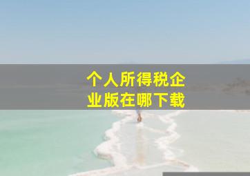 个人所得税企业版在哪下载