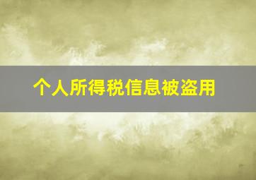 个人所得税信息被盗用