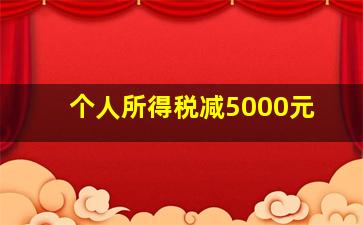 个人所得税减5000元