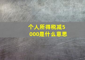 个人所得税减5000是什么意思