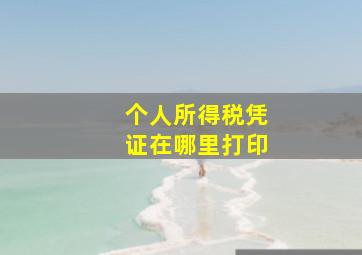 个人所得税凭证在哪里打印