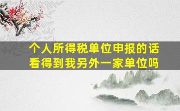 个人所得税单位申报的话看得到我另外一家单位吗