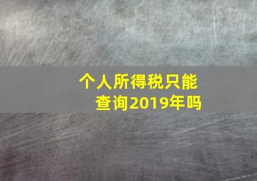 个人所得税只能查询2019年吗