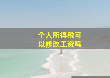 个人所得税可以修改工资吗