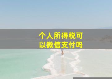 个人所得税可以微信支付吗