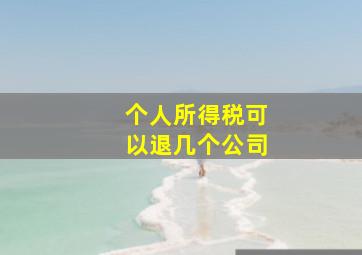 个人所得税可以退几个公司