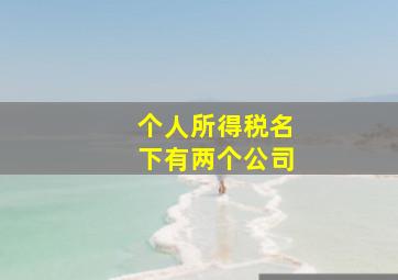 个人所得税名下有两个公司