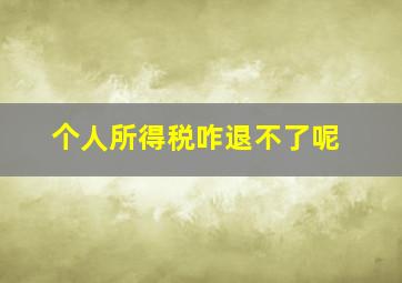 个人所得税咋退不了呢