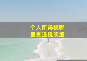 个人所得税哪里查退税明细