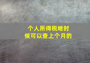 个人所得税啥时候可以查上个月的