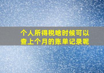 个人所得税啥时候可以查上个月的账单记录呢