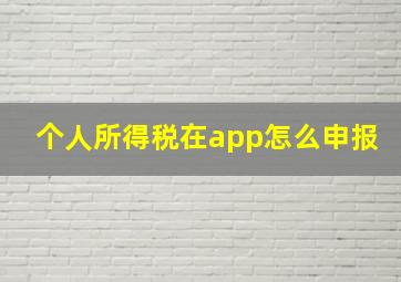 个人所得税在app怎么申报