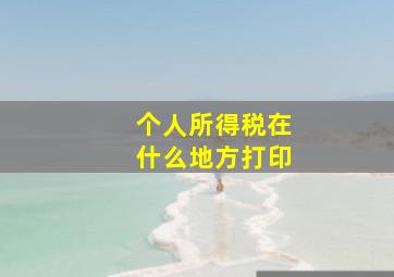 个人所得税在什么地方打印