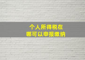 个人所得税在哪可以申报缴纳