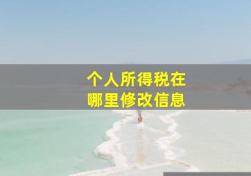 个人所得税在哪里修改信息