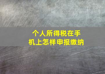 个人所得税在手机上怎样申报缴纳